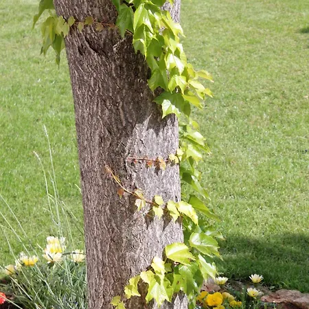 Appartement Krk 3231d *